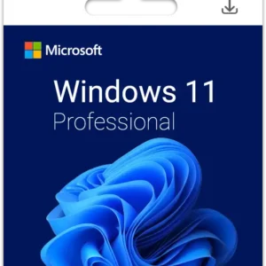 Windows 11 Pro